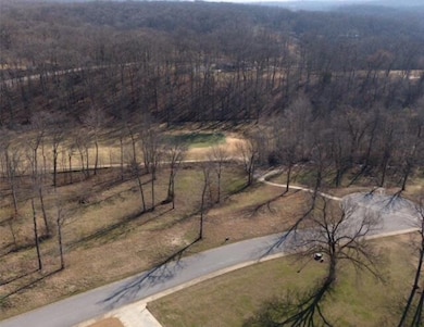 65 Eagle View Dr, Batesville, AR 72501 - photo 3