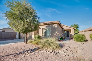 Desert Landscaping