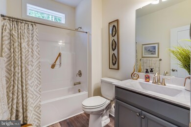 27028 Whistling Duck Way, Milton, DE 19968 - photo 7