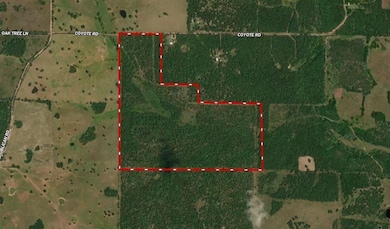 253 Coyote Rd, Salem, AR 72576 - photo 2