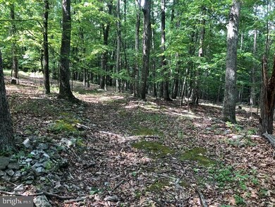 23 High Mountain View Rd, Three Chrs, WV 26757 - photo 2