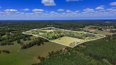 0 Jenkins Rd, Sparta, TN 38583 - photo 2