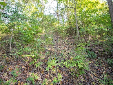 8 acres Whiskey Run Rd, Quaker City, OH 43773 - photo 4