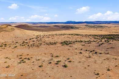 000 Tbd, Greer, AZ 85927 - photo 4