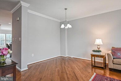 42817 Shaler St, Chantilly, VA 20152 - photo 7