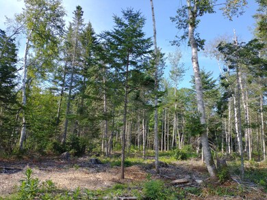 IMG_20210729_081359839