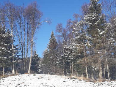 20190221_142349_resized