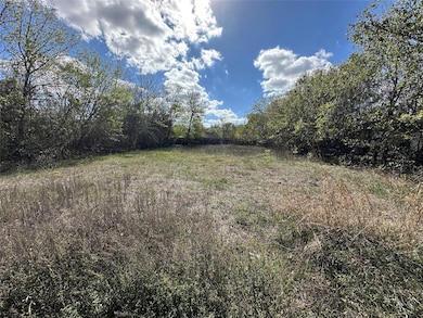 View of yard with a view of trees