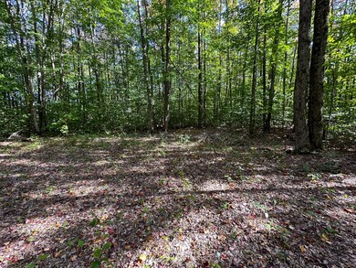 Campsite 2