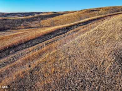 DJI_20241104133603_0564_D