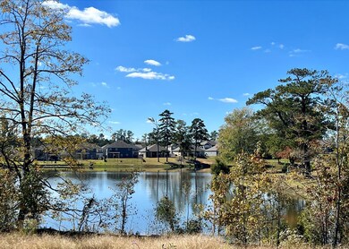 View from backyard
