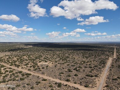 pic2.dji_fly_20231028_115636_229_1698519