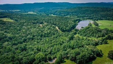 000 Mazanec Lane - Tract 12, Clinton, AR 72031 - photo 4