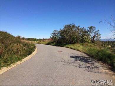 9999 Fallen Spruce Dr, Asheville, NC 28806 - photo 5