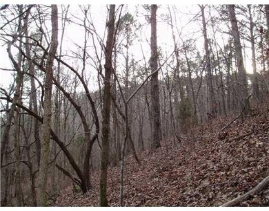 0 Cr 558 unit 652970, Colcord, OK 74338 - photo 2