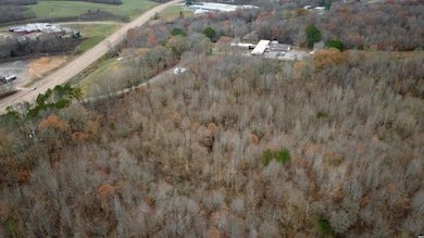 907 Highway 22 unit Evergreen, Dresden, TN 38225 - photo 4