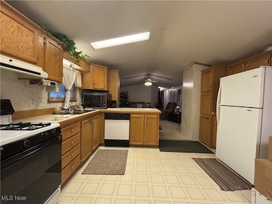 346 Goldway Dr, Painesville Township, OH 44077 - photo 6