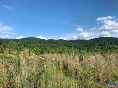 0 E Pounding Creek Rd, Charlottesville, VA 22903 - photo 2