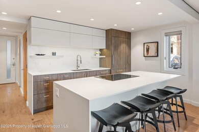 800 S Mill St unit 7B, Aspen, CO 81611 - photo 7