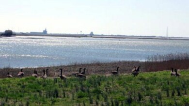More Wildlife