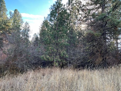 L129 Par Dr unit 129, Cascade, ID 83611 - photo 3