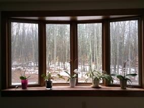 239 Horse Corner Rd, Chichester, NH 03258 - photo 7