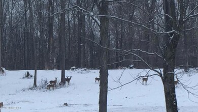 0 Shadow Wood Ct, Mount Washington, KY 40047 - photo 7