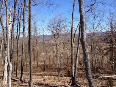 0 Timber Ridge Rd unit 716 126277, Fairfield, VA 24435 - photo 3