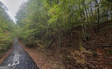 300 Evergreen Rd, Hiawassee, GA 30546 - photo 2