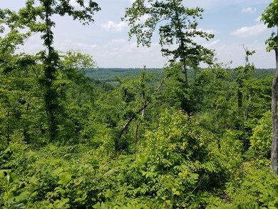 0 Hurricane Creek unit 1931811, Linden, TN 37096 - photo 5