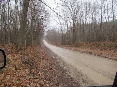 14510 Washburn Rd, Otter Lake, MI 48464 - photo 3