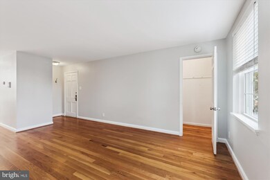 4801 31st St S unit B1, Arlington, VA 22206 - photo 7