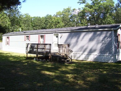 9016 W Railroad Ave, Bitely, MI 49309 - photo 2