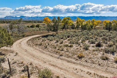 TBD Road 29, Cortez, CO 81321 - photo 7