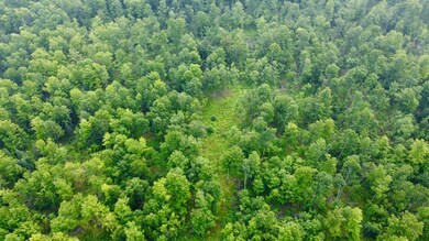 40 Acres Cth H, Gleason, WI 54435 - photo 6