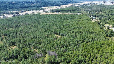 40 Acres N Old Highway 95, Athol, ID 83801 - photo 3