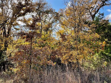 TBD Indian Camp Rd, Weatherford, TX 76087 - photo 5