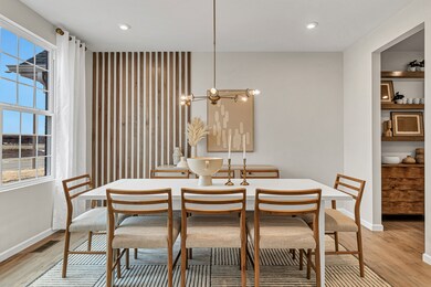 12966 S Twin Pines Ln, Plainfield, IL 60585 - photo 7