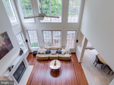 6426 Recreation Ln, Falls Church, VA 22041 - photo 6