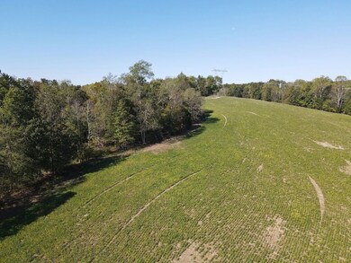 1551 Buck Smith Rd, Palmyra, TN 37142 - photo 7