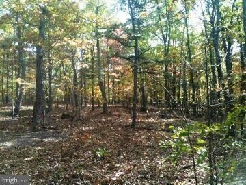 0 Titania unit 1003235734, Gerrardstown, WV 25420 - photo 2