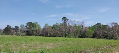 View of landscape featuring a forest view