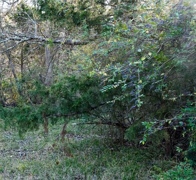 907 Benton St, Bonham, TX 75418 - photo 3