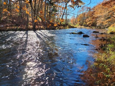 image000001 (1)