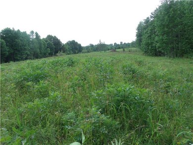 0 Nancy Greene Ridge Rd unit RTC1638790, Prospect, TN 38477 - photo 3