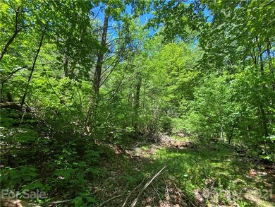 731 Quail Ridge Road, Lake Lure - Rumbling Bald. E