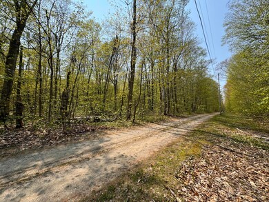 IMG_3743