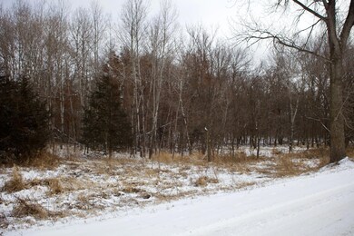 16XXX 4th Ave E, Lynden Township, MN 55382 - photo 4