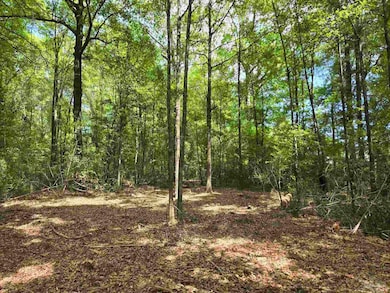 1131 Wolf Log Rd, Flomaton, AL 36441 - photo 3