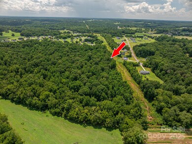 000 Flag Ln unit 53, Vale, NC 28168 - photo 5